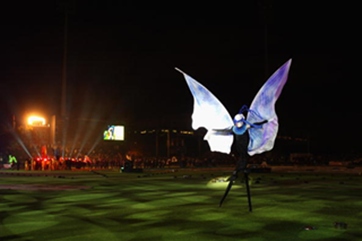 A butterfly on stilts: it's what the IPL is all about