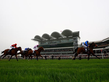 Newmarket is the setting for an autumn favourite