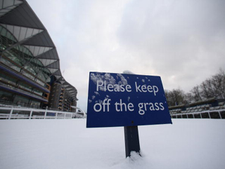 The parade ring at Ascot