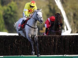 Al Ferof makes most appeal for the Arkle at the current prices.