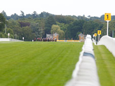 Ascot will once again play host to the Shergar Cup