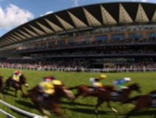 HID Carl Harris’ Daily Racing Tips