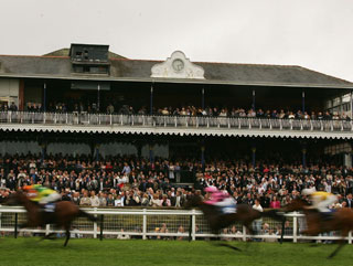 Andrew is backing Circus Clown at Ayr