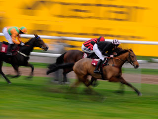 Betfair horse racing trading strategies