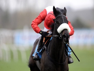 Ruby Walsh looks behind for non-existent dangers on Big Buck's