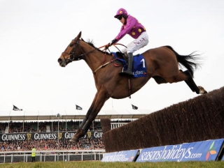 2010 Champion Chase hero Big Zeb