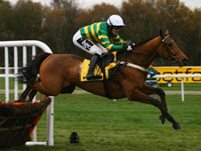 Binocular doing what he does best