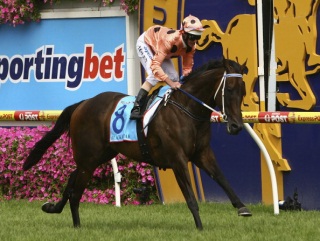 Black Caviar records win no.18