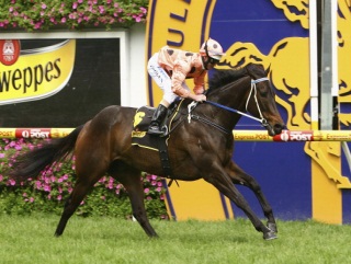 Black Caviar goes for win no.18 on Saturday