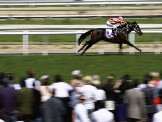 Can Black Caviar land the World Sprint Challenge?