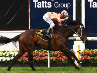 Black Caviar is currently rated 135 by Timeform