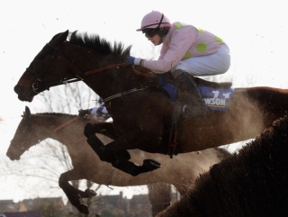 Mrs S Ricci's Blazing Tempo.