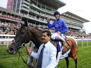 Blue Bunting is the value pick given her form in Group 1 company already this season