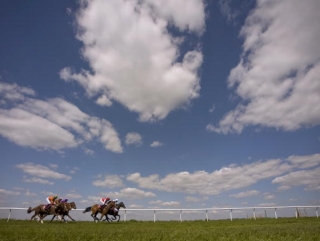 Igugu is the star entry in the J&B Met.