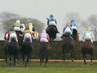 Will you get behind today's selections?