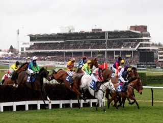 Rubi Light will run at Gowran before Cheltenham.