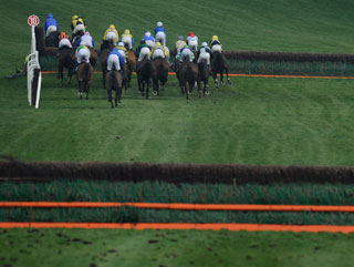 Countrywide Flame could run in the Triumph Hurdle.