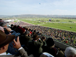 All roads lead to Cheltenham. But which race? 