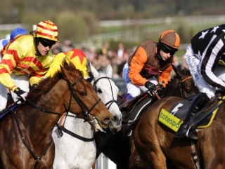 China Rock (hooped cap) in last year's Gold Cup