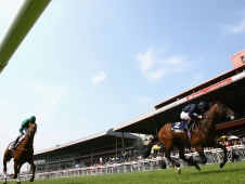 HID Race of the Day Preview