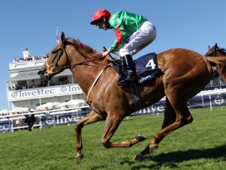 Dancing Rain could be an under-rated quantity at Ascot