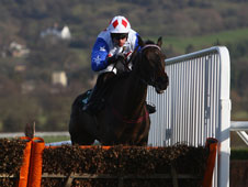 Graham believes Diamond Harry is a good back to lay option