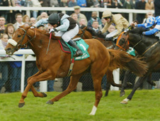 HID Carl Harris’ Daily Racing Tips