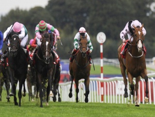 Dream Ahead got the best of a three-way photo finish in the Haydock Sprint Cup