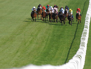 Those undulations can undo even the best horses