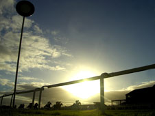 HID Carl Harris’ Daily Racing Tips
