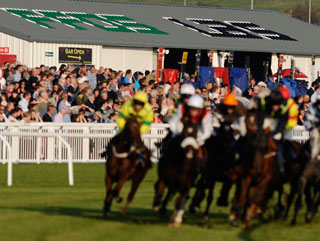 Will Merry King triumph at Ffos Las (above)?