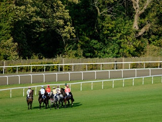 There's usually plenty of drama when betting on National Hunt races
