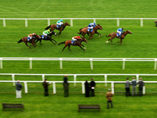 HID Race of the Day Preview