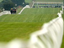 HID Carl Harris’ Daily Racing Tips