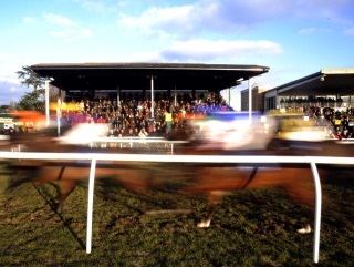 Can Millers Reef come home ahead of the field at Fontwell?