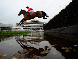 Horse racing in running trading strategy
