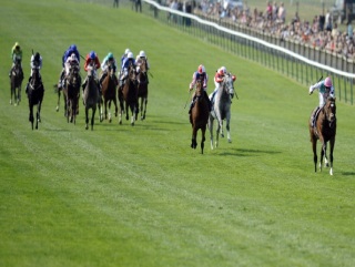Frankel left them all trailing in the 2000 Guineas