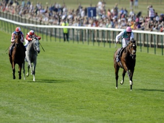 Frankel romps home in the 2000 Guineas at Newmarket