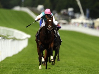 Will Frankel surpass the great Sea Bird II?