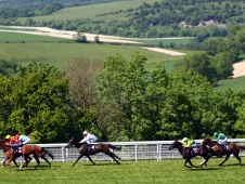 HID Race of the Day Preview