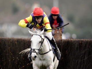 Grands Crus will not run in the Argento Chase.