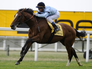 Harbinger produced Kieran Packman's performance of 2010