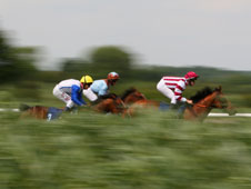HID Carl Harris’ Daily Racing Tips