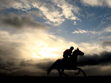 HID Race of the Day Preview