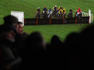 Steps To Freedom will head straight to Cheltenham.