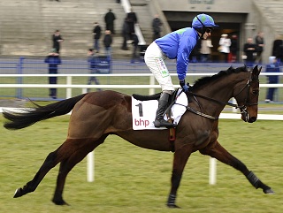Hurricane Fly confirmed himself the top two-mile hurdler around on Sunday