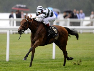 Royal Ascot winner Immortal Verse lowered the colours of Goldikova in the Prix Jacques le Marois