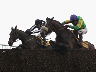 Will Kauto get the better of Imperial Commander again?