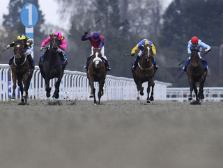 Teen Ager bids for glory at the evening meeting at Kempton on Wednesday.