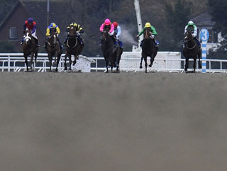 Will FTM back a winner at Kempton? 